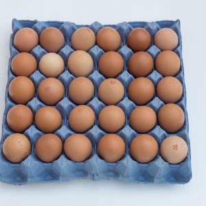 Medium Eggs, Tray of 30 - Free Range Lion stamp UK