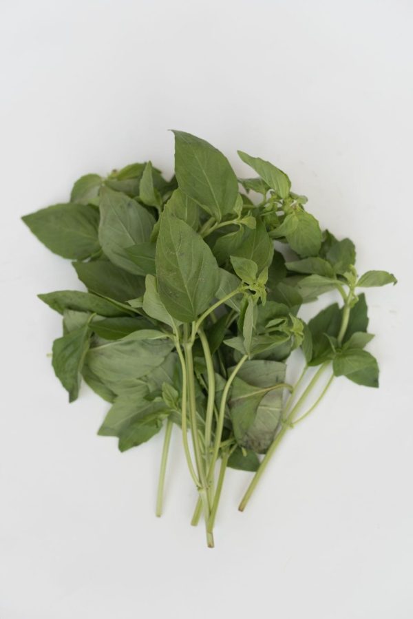 Basil 50g