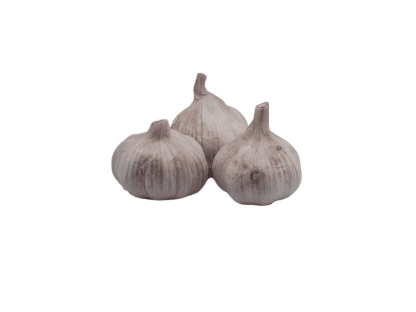 Garlic bulb x 3