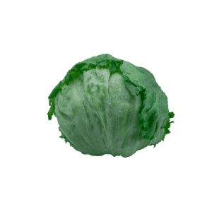 Iceberg Lettuce
