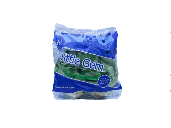 Baby Gem Lettuce, Twin Pack - English