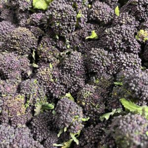 Purple Sprouting Broccoli, English - 250g