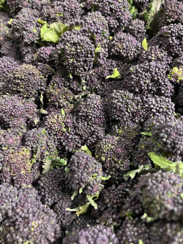 Purple Sprouting Broccoli, English - 250g