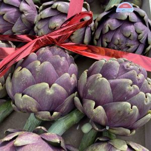 Carciofi Apollo - Italian Violet Artichoke (single)