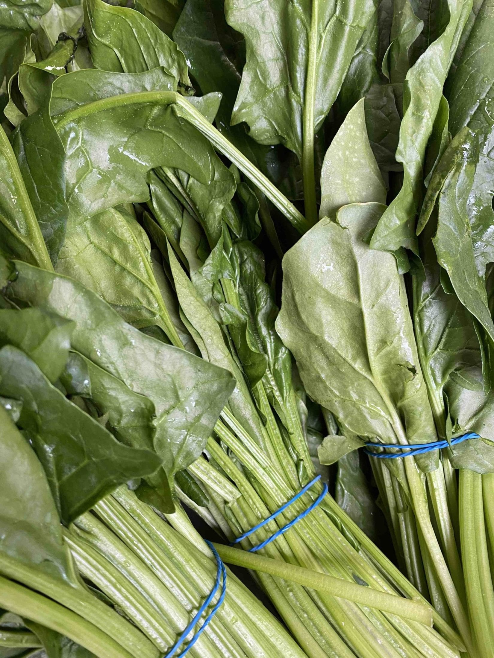 English Spinach, bunched large loose leaf. Approx 300g Cambridge