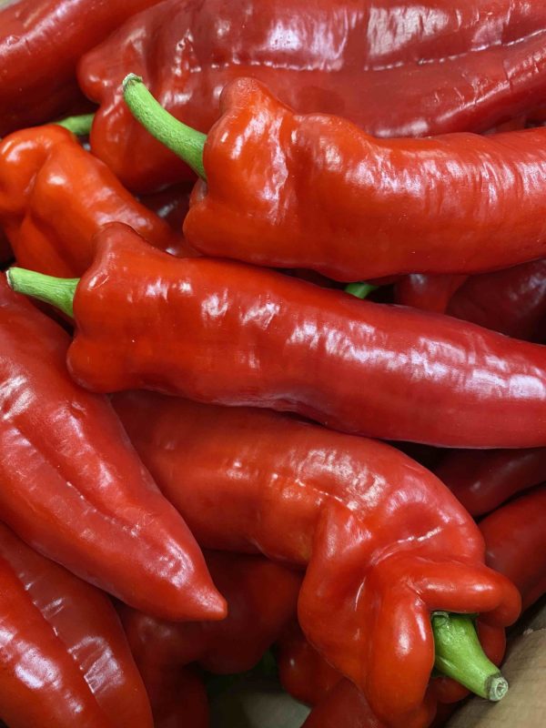 Romano Peppers - single