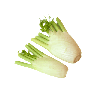 Fennel Bulbs, Twin pack