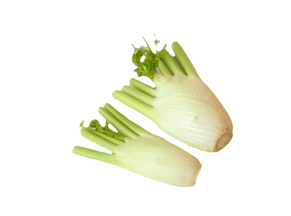 Fennel Bulbs, Twin pack