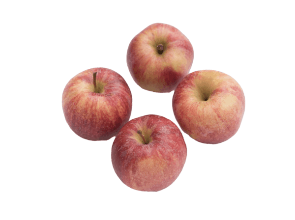 Apples, Gala x 4