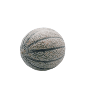 Cantaloupe Melon -  Spanish
