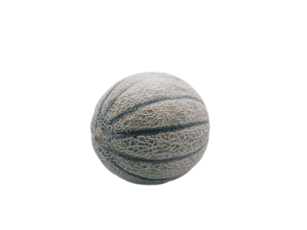 Cantaloupe Melon -  Spanish