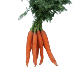 Bunched Carrots - approx 1kg