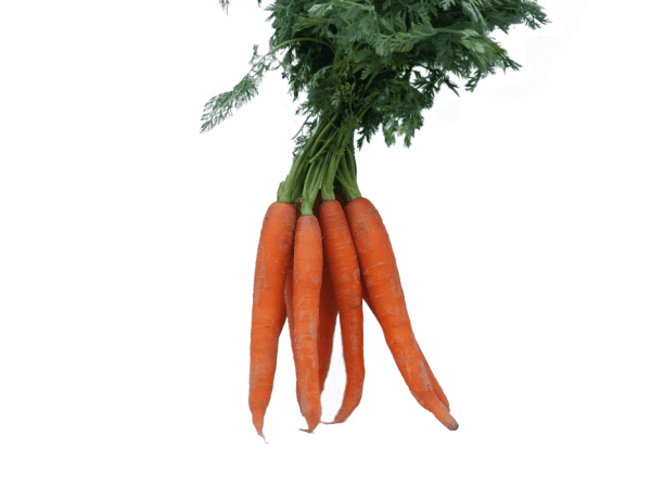 Bunched Carrots - approx 1kg