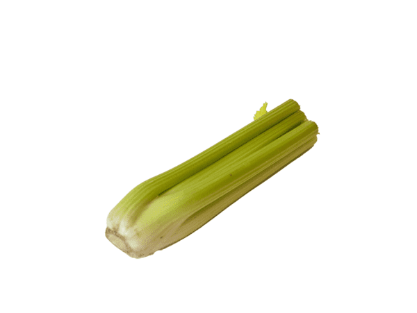 Celery, single - English