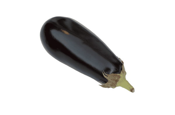 Aubergine - single