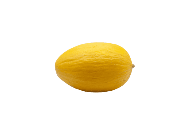 Honeydew Melon