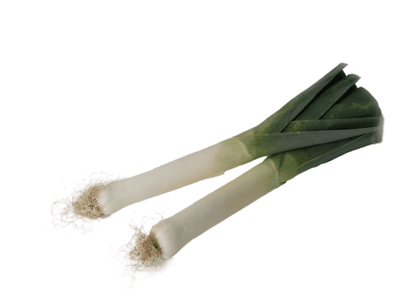 Leeks, twin