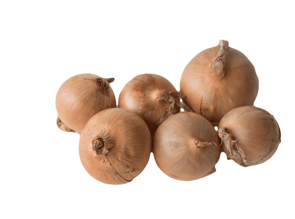 Onions,  (approx 1kg)