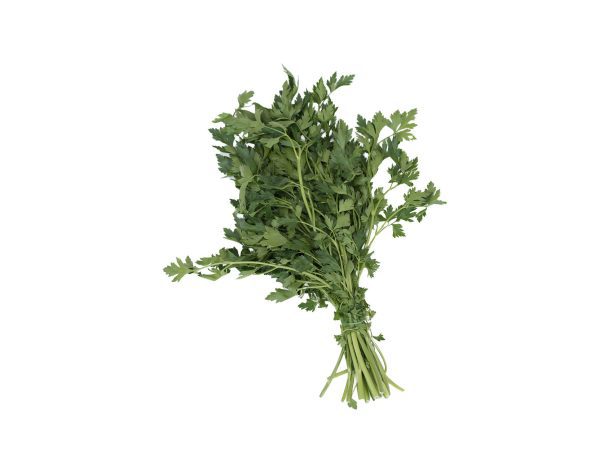 Coriander 50g