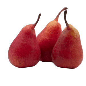 Pears, Conference - Six Pieces (6) -approx 1kg