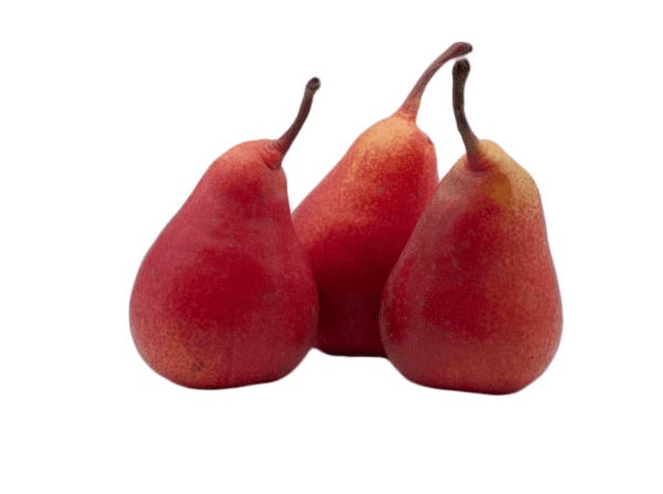 Pears, Conference - Six Pieces (6) -approx 1kg