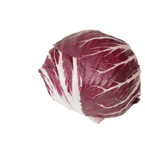 Radiccio Lettuce