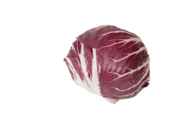 Radiccio Lettuce