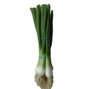 Spring Onion, Bunched.