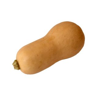 Butternut Squash