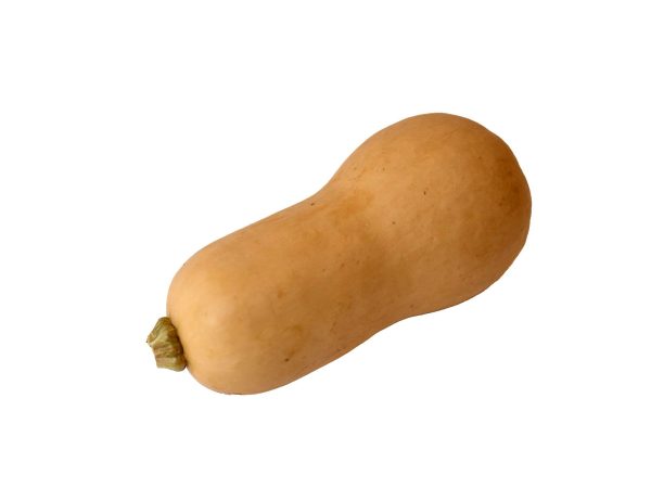 Butternut Squash