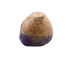 Celeriac - single