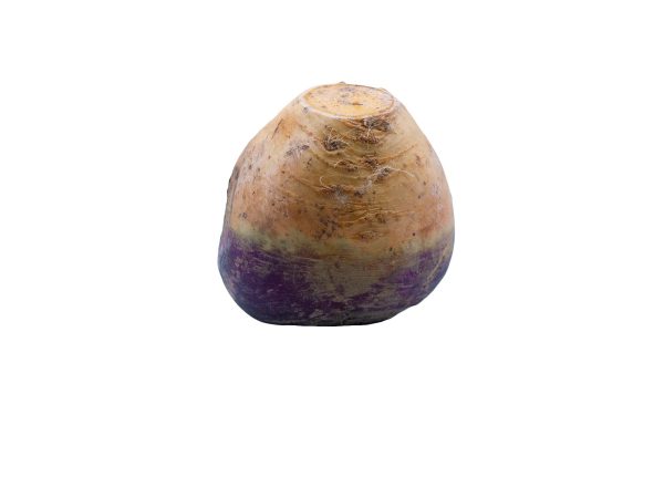 Celeriac - single